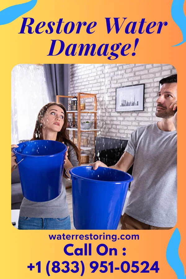 water restoration Falcon Flood LLC Cheshire