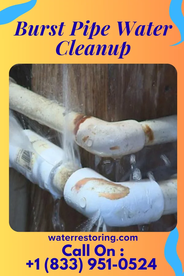 Burst Pipe Water Cleanup in Cheshire, OH