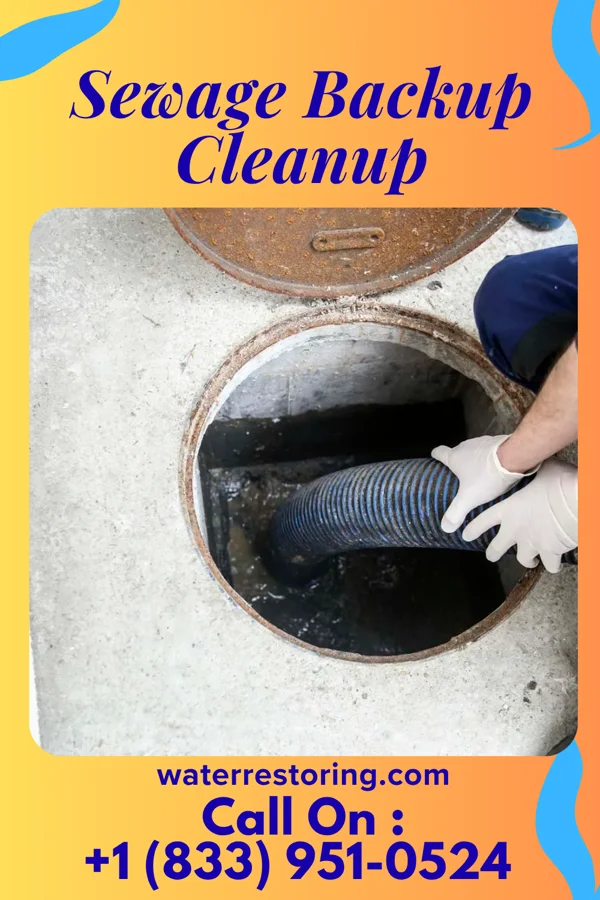 Sewage Backup Cleanup in Cheshire, OH
