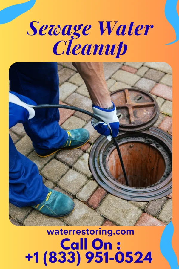 Sewage Water Cleanup in Cheshire, OH